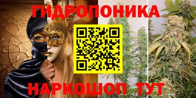 гидропоника Гатчина