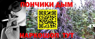 молекула духа Гай