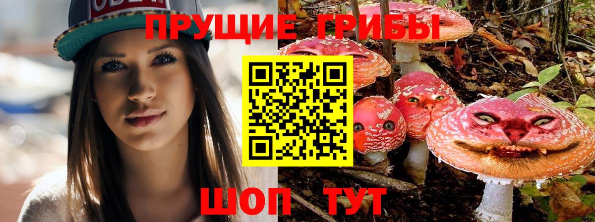 Псилоцибиновые грибы Psilocybine cubensis  Домодедово 