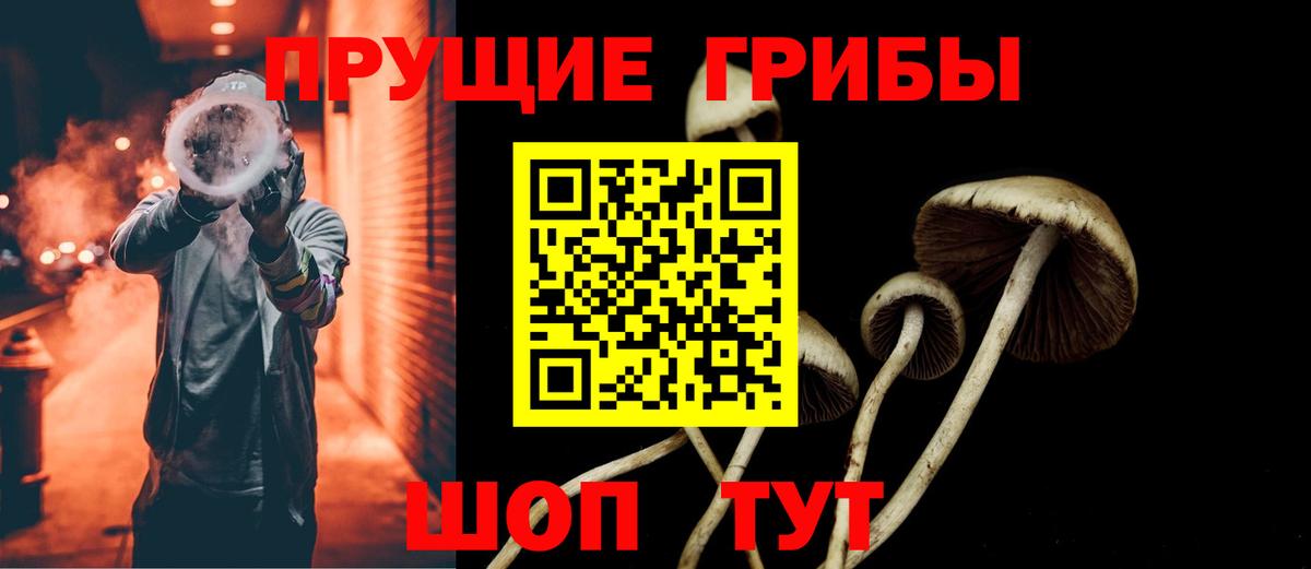Псилоцибиновые грибы Cubensis Домодедово