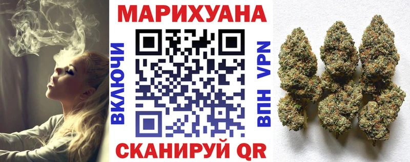где купить наркоту  Домодедово  Бошки марихуана сатива 